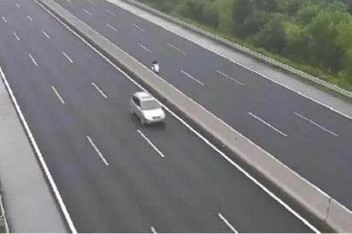Lái xe đi ngược chiều trên cao tốc Nội Bài - Lào Cai bị phạt 17 triệu đồng