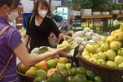 Thích ứng các rào cản thương mại để mở rộng xuất khẩu