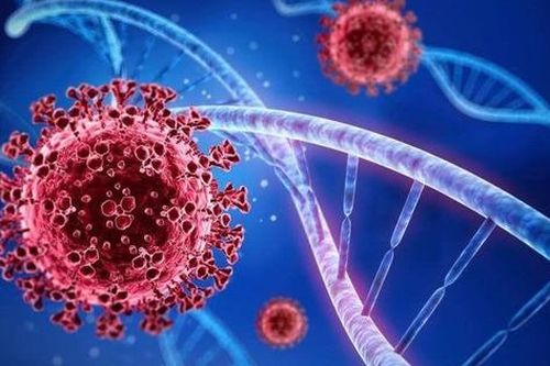 Triển vọng về tình trạng ổn định hơn của virus SARS-CoV-2