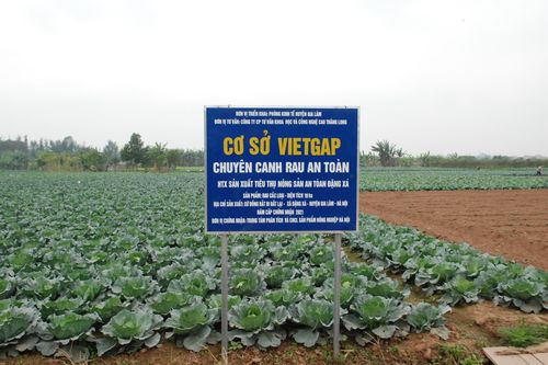 Còn nhiều mối lo về an toàn thực phẩm với nông sản, thủy sản