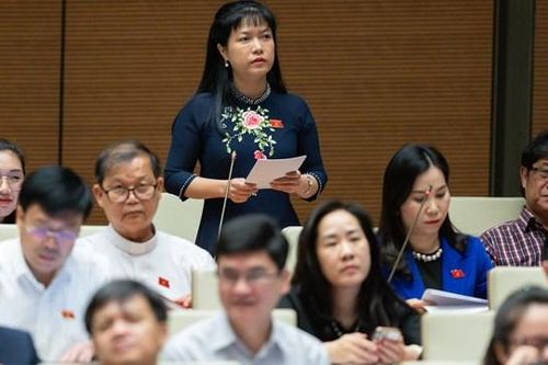 ĐBQH quả quyết: 'Làm đúng thì không có gì phải ngại'