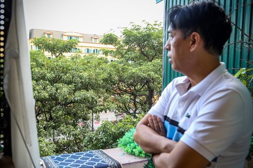 Hàng cây hoa sữa trước đề xuất di dời vì mùi hương đậm đặc