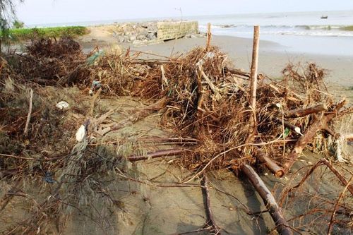 Thanh Hóa ứng phó với biến đổi khí hậu