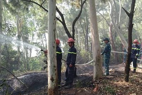 Trung đoàn 295 giúp dân chữa cháy rừng
