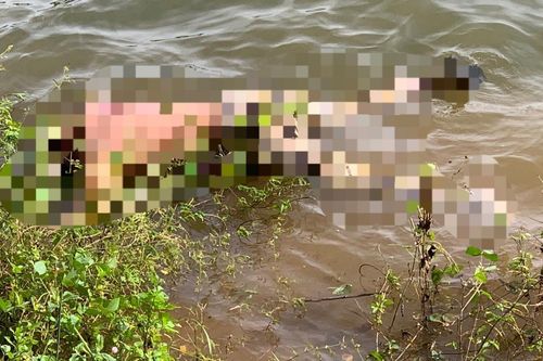Phát hiện thi thể 2 mẹ con ở Biển Hồ Gia Lai