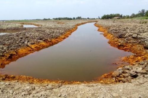 Tận dụng chất thải để xử lý chất thải