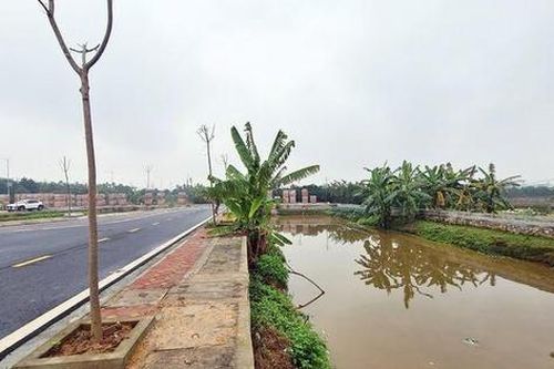 Bộ Tư pháp không 'nhân nhượng' với mong muốn hợp pháp hóa 26 lô đất có sai phạm đấu giá ở Hà Nội