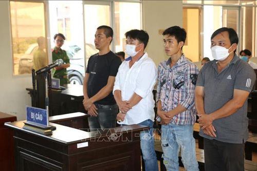 Bạc Liêu: Tuyên y án sơ thẩm với 5 bị cáo tàng trữ, mua bán trái phép vũ khí quân dụng