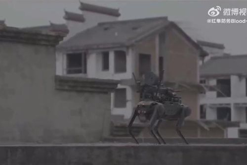 Trung Quốc trình diễn máy bay không người lái đổ bộ chó robot trang bị súng máy