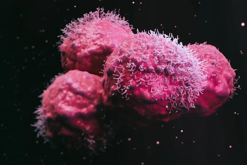 Phát hiện loại thuốc ức chế thành công gene gây ra nhiều bệnh ung thư phổ biến