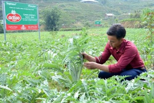 Chứng khoán hôm nay ngày 28/10: Nhận định thị trường và phân tích cổ phiếu TRA
