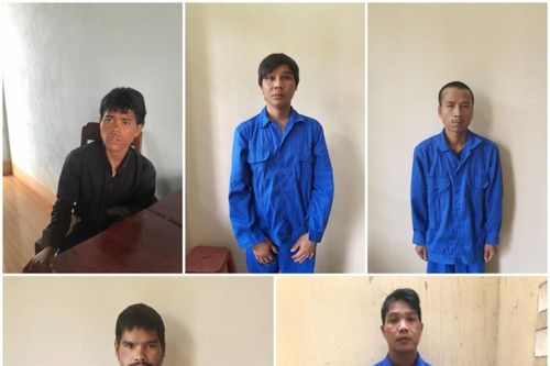 Gia Lai: Triệt phá nhóm đối tượng gây ra hàng chục vụ trộm cắp tài sản