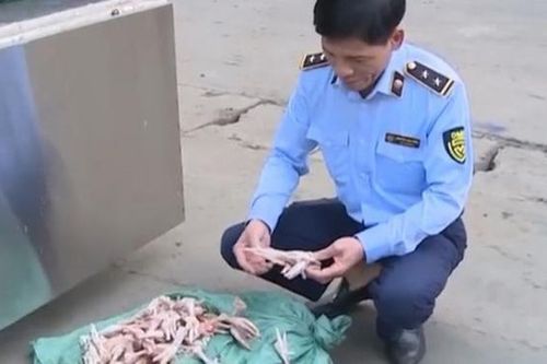 Hà Nội: Tiêu hủy hơn 3 tấn chân gà bẩn chuẩn bị tuồn ra thị trường
