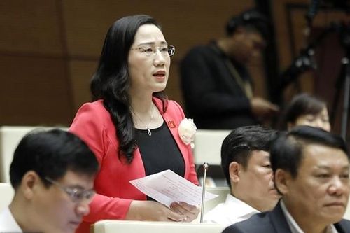 Thể hiện rõ tinh thần đại diện nguyện vọng chính đáng của cử tri