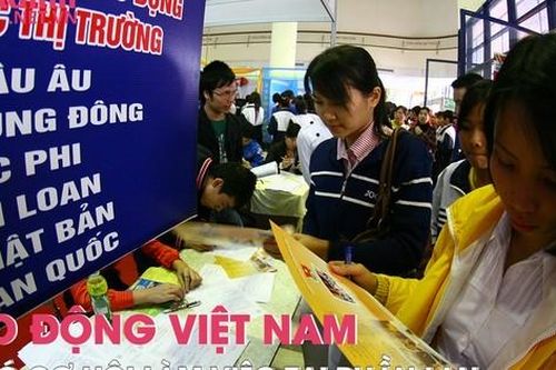 Lao động Việt Nam sẽ có cơ hội làm việc tại Phần Lan