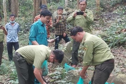 Thả 7 cá thể khỉ đuôi lợn về rừng Tà Cú ở Bình Thuận