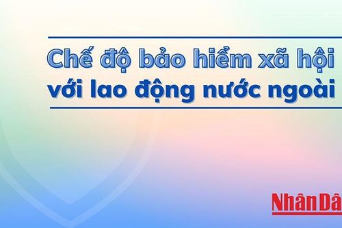 Hướng dẫn giải quyết chế độ bảo hiểm xã hội với lao động là công dân nước ngoài