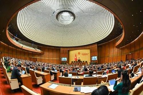Méo mó nhận thức 'thà bị kỷ luật'...!
