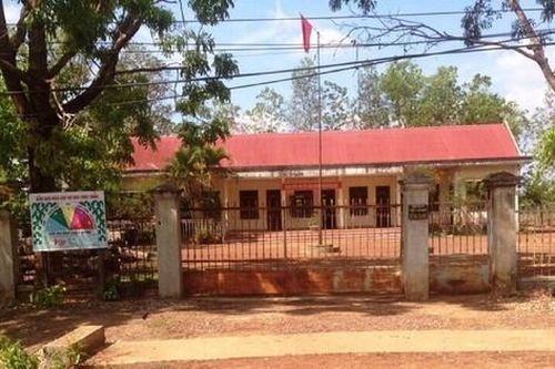 Xem xét kỷ luật Giám đốc Công ty Lâm nghiệp Rừng Xanh vì để mất rừng