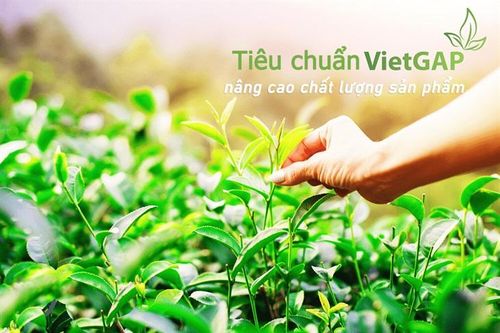 Từ khuyến khích sang bắt buộc