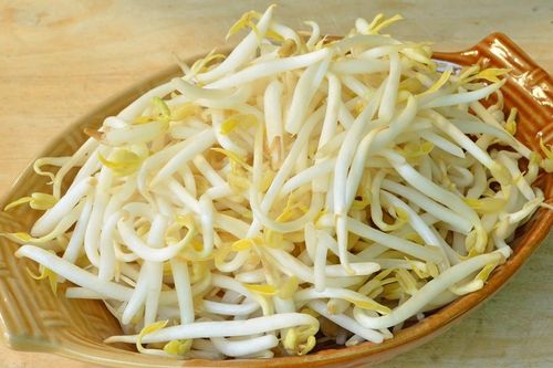 Cách đơn giản nhận biết giá đỗ không chứa chất kích thích tăng trưởng