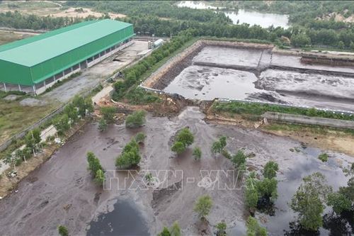 Yêu cầu Công ty Đại Nam khắc phục sự cố chất thải tràn ra môi trường
