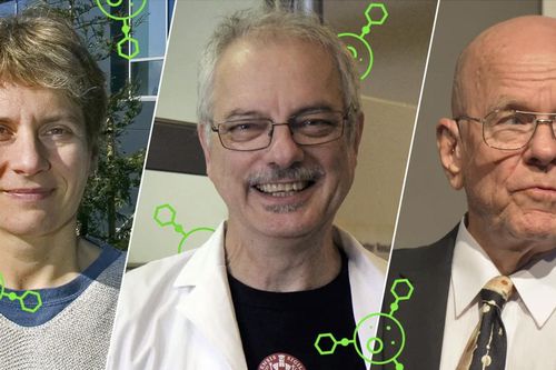 Giải Nobel Hóa học 2022: Mở ra lĩnh vực mới đầy tiềm năng