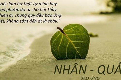 Suy ngẫm về luật nhân quả