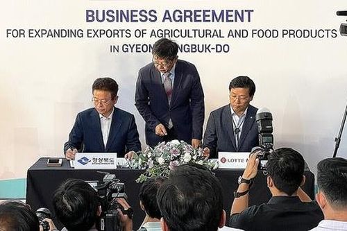 Doanh nghiệp Hàn Quốc 'bắt tay' đưa nông sản cao cấp sang thị trường Việt Nam