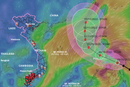 Các tỉnh từ Quảng Ninh đến Bình Thuận chủ động ứng phó bão Nalgae
