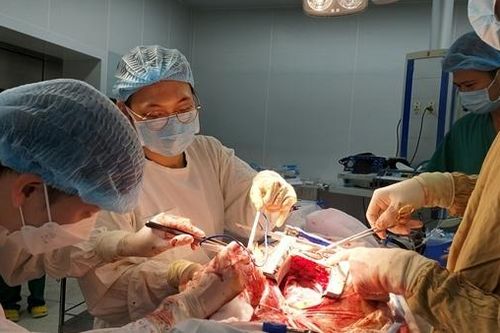 Cấp cứu tối khẩn, cứu sống bệnh nhân bị vết thương tim nguy hiểm