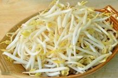 Cách nhận biết giá đỗ không chứa chất kích thích tăng trưởng