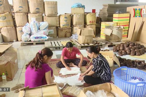 Xu hướng phụ nữ khởi nghiệp sản xuất xanh