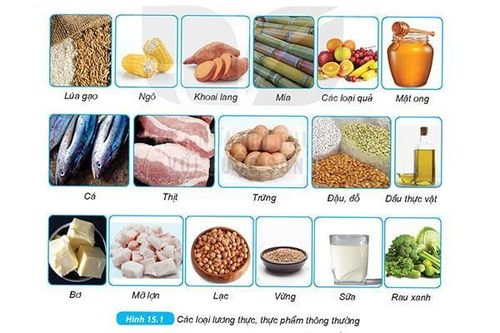 Vai trò của các thành phần chính trong thức ăn