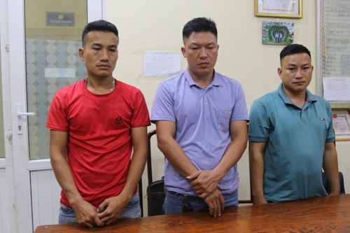 Bắt nhóm đối tượng vận chuyển rắn hổ chúa từ rừng về đồng bằng tiêu thụ