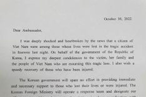Vụ tai nạn tại Seoul: Bộ trưởng Ngoại giao Hàn Quốc chia buồn về người Việt thiệt mạng