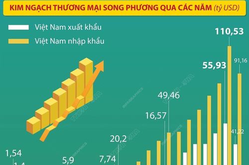 Kim ngạch thương mại song phương Việt Nam - Trung Quốc