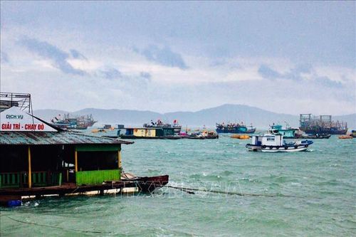 Các tỉnh, thành phố từ Quảng Ninh đến Bình Thuận chủ động ứng phó với bão số 7