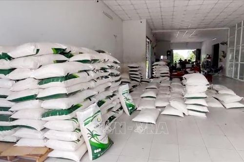 An Giang: Phát hiện 5 tấn đường cát nhập lậu tại kho hàng khu vực biên giới