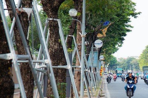 Cận cảnh những chiếc vòng sắt 'giam cầm' hàng cây xanh ở Hà Nội