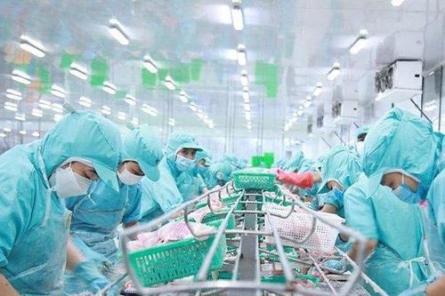 'Mất' gói hỗ trợ tài chính, Tập đoàn Sao Mai báo lãi đi lùi