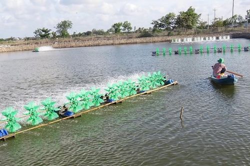 Trên 98% hộ đồng bào Khmer ở Trà Vinh được sử dụng điện lưới quốc gia
