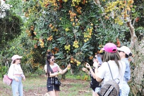 Du lịch nông nghiệp mang lại thu nhập cao cho nông dân