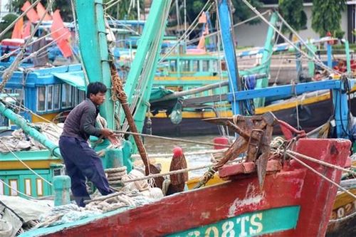 Khẩn trương, chủ động ứng phó với bão số 7