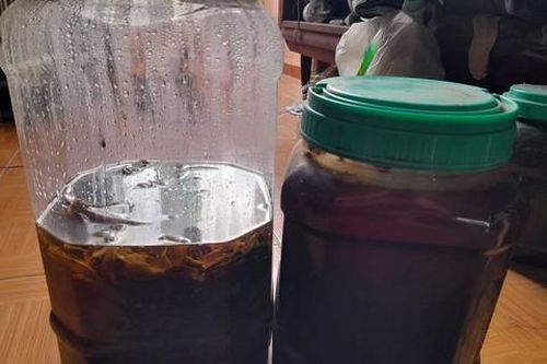 2 người đàn ông thương vong nghi do ngộ độc rượu thuốc