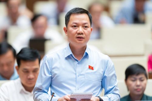 ĐBQH đề nghị chỉ rõ trách nhiệm khi hàng chục nghìn tỷ bị lãng phí