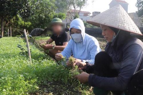Bắc Từ Liêm hỗ trợ vay vốn, giúp người nghiện hoàn lương
