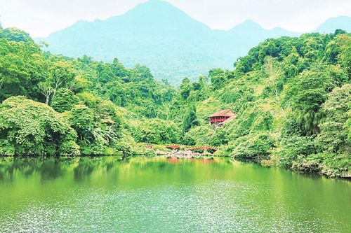 Đẩy nhanh quá trình hồi phục du lịch