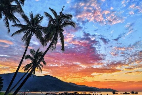 Nghề đi lùi… kiếm tiền