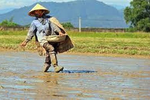 Đến với bài thơ hay: Về thăm mẹ